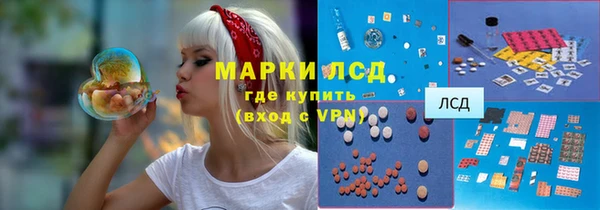 сатива Горняк